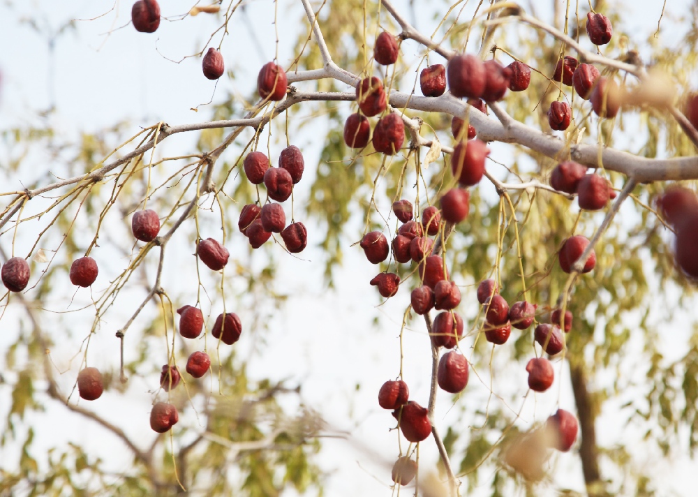 ��Ǽ (35)(1).JPG