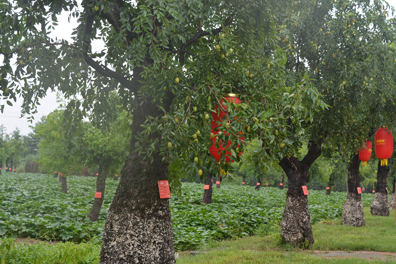 ÔæÏç02.jpg ÔæÏç02.jpg