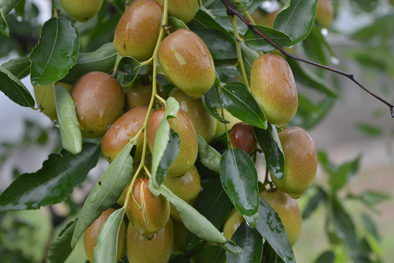 ÔæÏç06.jpg ÔæÏç06.jpg