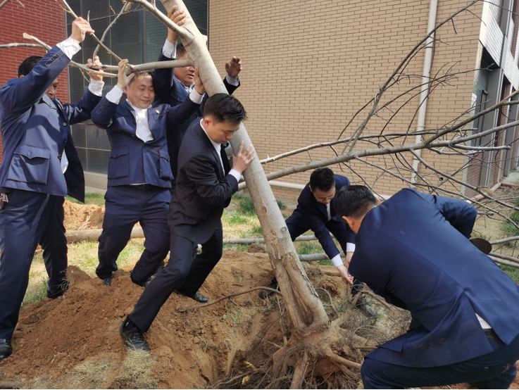 1647330330485765.jpg 1.jpg